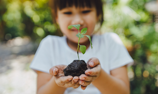 Young child holding a sprouting green plant in soil, representing growth and renewal associated with the name Chloe
