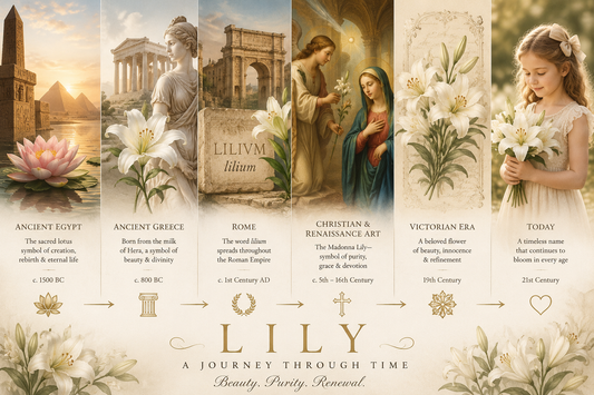 Illustrated timeline showing the 3,000-year history of the name Lily, from ancient Egypt to the modern day, symbolizing beauty, purity, and renewal.