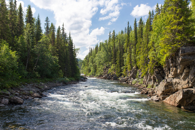 Go with the Flow: River Names