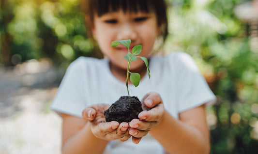 Young child holding a sprouting green plant in soil, representing growth and renewal associated with the name Chloe