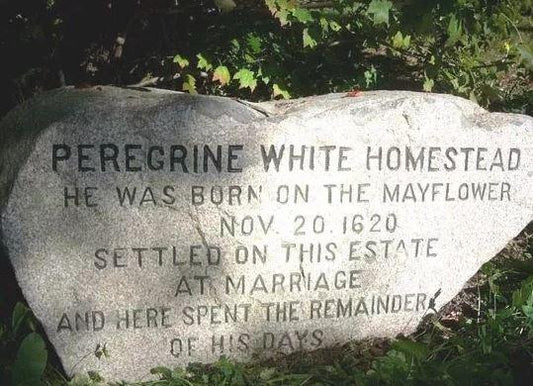 Peregrine: the Youngest of the Mayflower Pilgrims - Picture of a rock honoring him