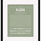 Frame Options | Sage | Maple Frame, Matted