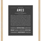 Frame Options | Charcoal Gray | Maple Frame, Matted