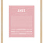 Frame Options | Dusty Rose | Maple Frame, Matted