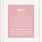 Frame Options | Dusty Rose | White Frame, Matted