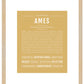 Frame Options | Matte Gold | Maple Frame, Matted