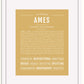 Frame Options | Matte Gold | White Frame, Matted