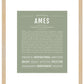 Frame Options | Sage | Maple Frame, Matted