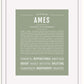 Frame Options | Sage | White Frame, Matted