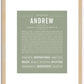 Andrew | Name Art Print