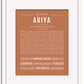 Frame Options | Terra Cotta | White Frame, Matted