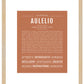 Frame Options | Terra Cotta | Maple Frame, Matted
