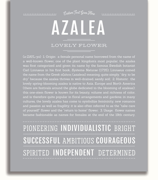 Frame Options | Light Gray | No Frame