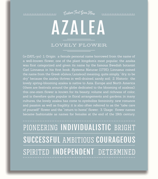 Frame Options | Powder Blue | No Frame