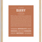 Barry | Name Art Print