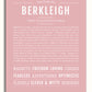 Frame Options | Dusty Rose | White Frame, Matted