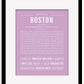 Frame Options | Lilac | Black Frame, Matted