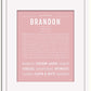 Frame Options | Dusty Rose | White Frame, Matted