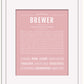 Brewer | Name Art Print