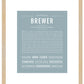 Brewer | Name Art Print