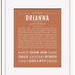 Frame Options | Terra Cotta | White Frame, Matted