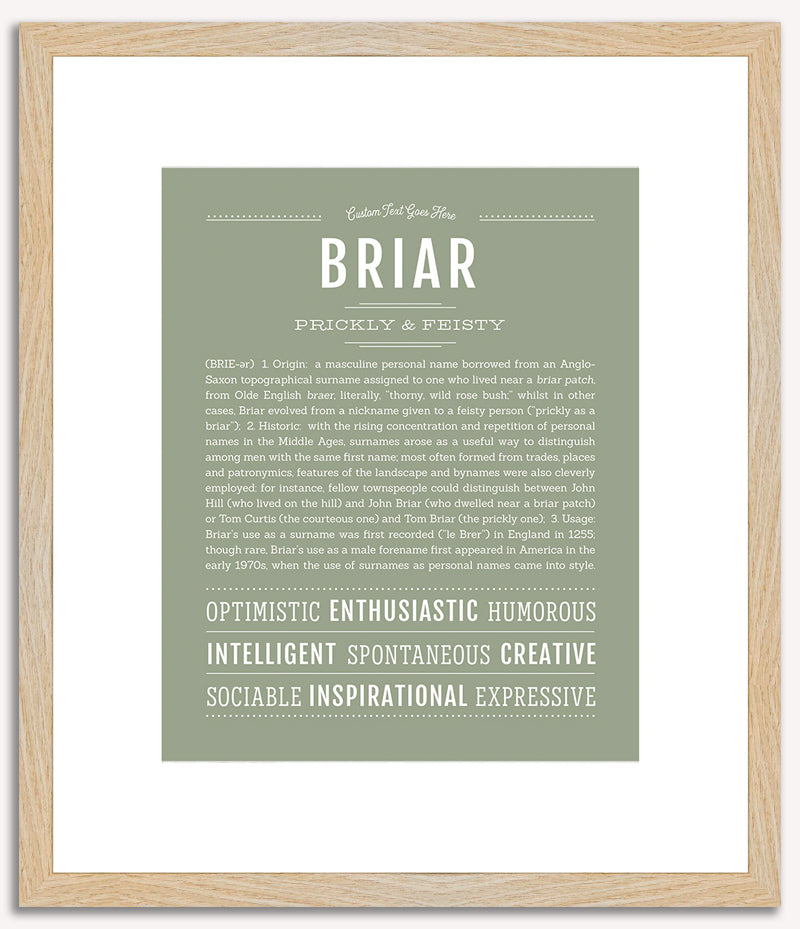 Briar (male) | Name Art Print