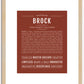 Brock | Name Art Print