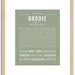 Brodie | Name Art Print