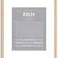 Bruin | Name Art Print