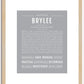 Brylee | Name Art Print