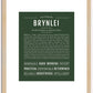 Brynlei | Name Art Print