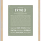 Brynlei | Name Art Print