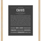 Frame Options | Charcoal Gray | Maple Frame, Matted