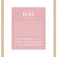 Frame Options | Dusty Rose | Maple Frame, Matted