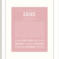 Frame Options | Dusty Rose | White Frame, Matted