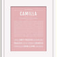 Frame Options | Dusty Rose | White Frame, Matted