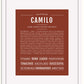 Frame Options | Bordeaux | White Frame, Matted
