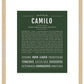 Frame Options | Deep Forest | Maple Frame, Matted