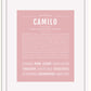 Frame Options | Dusty Rose | White Frame, Matted
