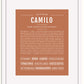 Frame Options | Terra Cotta | White Frame, Matted