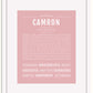 Frame Options | Dusty Rose | White Frame, Matted