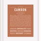 Frame Options | Terra Cotta | White Frame, Matted