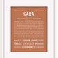 Frame Options | Terra Cotta | White Frame, Matted