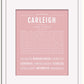 Frame Options | Dusty Rose | White Frame, Matted