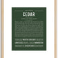 Cedar (female) | Name Art Print