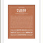 Frame Options | Terra Cotta | White Frame, Matted