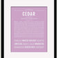 Frame Options | Lilac | Black Frame, Matted