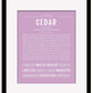 Frame Options | Lilac | Black Frame, Matted