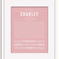 Frame Options | Dusty Rose | White Frame, Matted