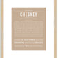 Chesney | Name Art Print